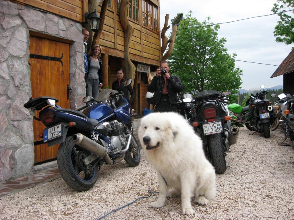 Guesthouse Planinarski Dom Neviden'O ชาเบลียค ภายนอก รูปภาพ