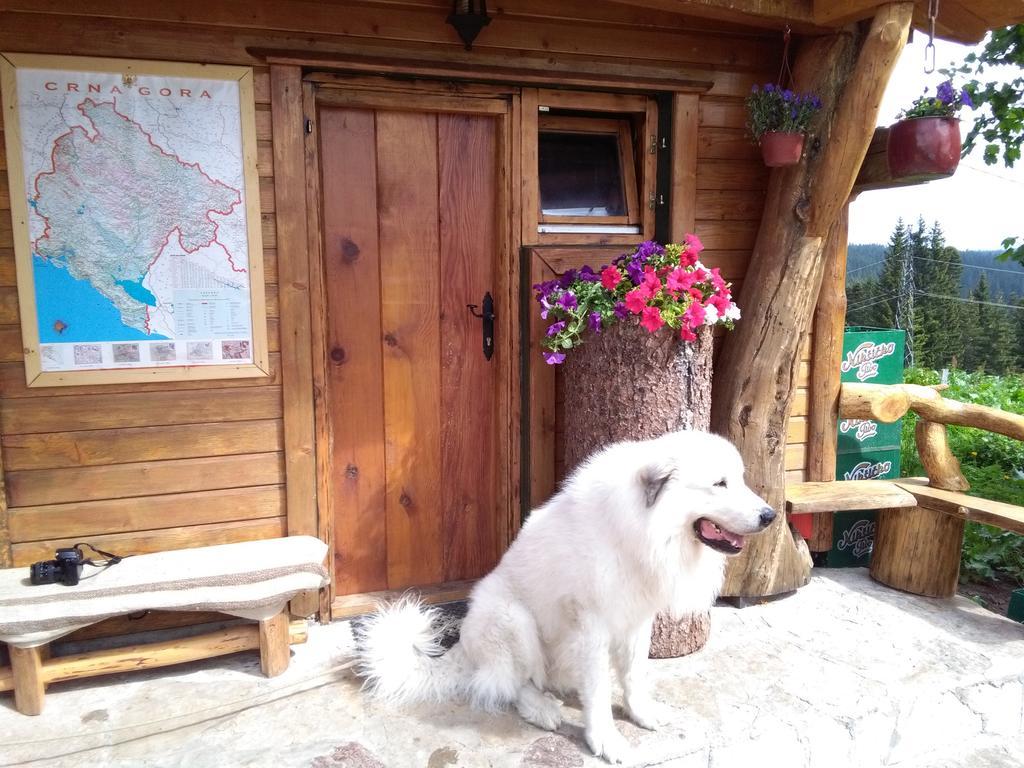 Guesthouse Planinarski Dom Neviden'O ชาเบลียค ภายนอก รูปภาพ